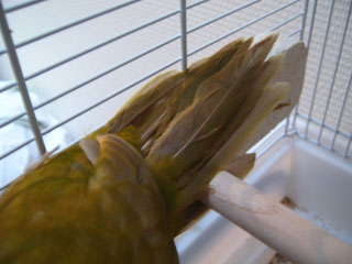 S4300054.jpg