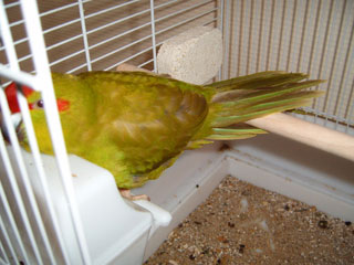 S4300052.jpg