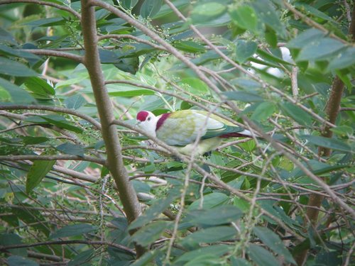 1024_IMG_6373_dim.jpg