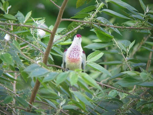 1024_IMG_6370_dim.jpg