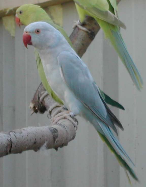 DSCN2810.jpg