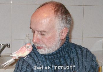 P1010106.jpg