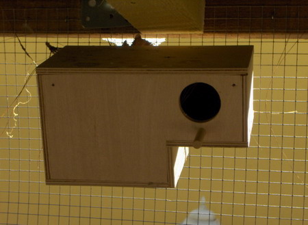HPIM0504res.jpg
