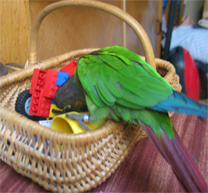k-aout-1.jpg