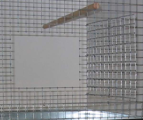 Capture-2.jpg