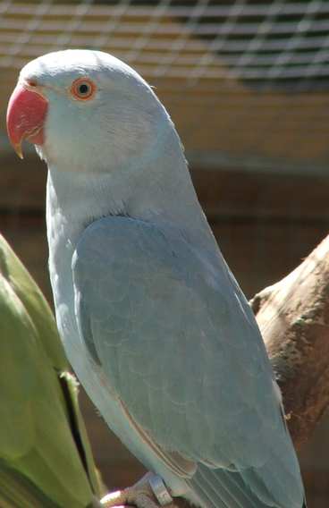 DSCF0068.jpg