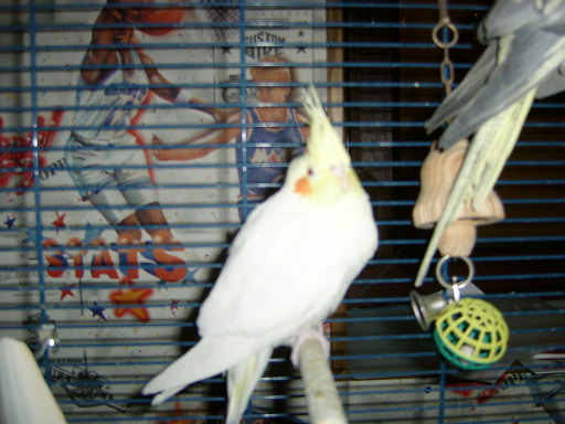 S3600030.JPG