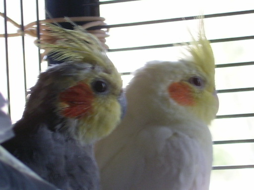 couple.JPG