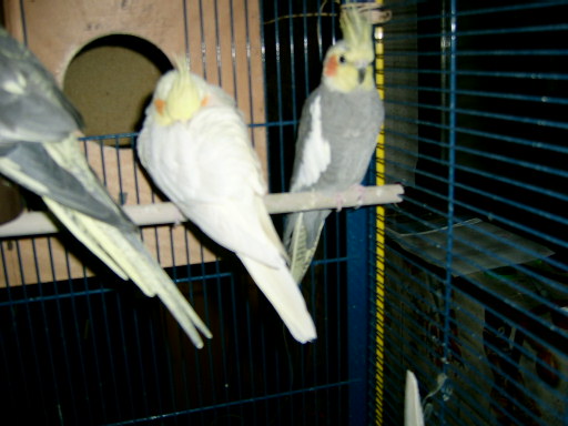 S3600052.JPG
