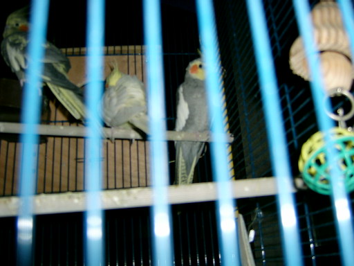 S3600051.JPG