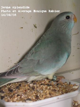 186_8698.jpg