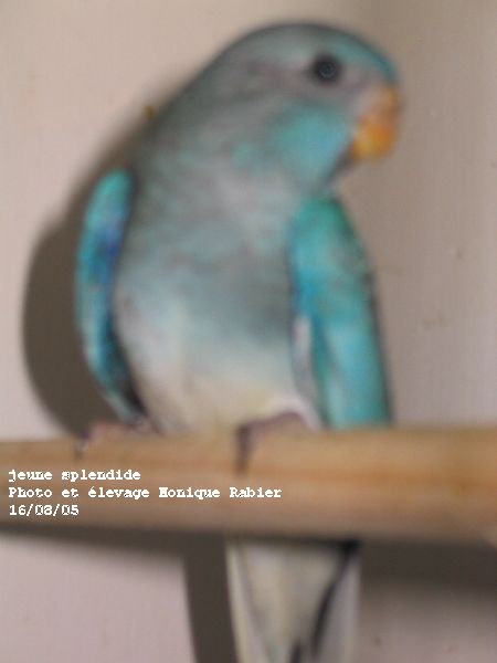 178_7885.jpg