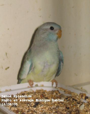 186_8691.jpg