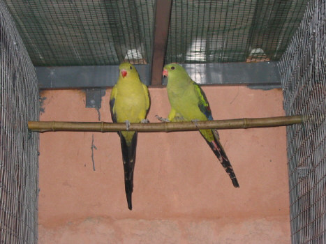 123-2338_IMG.JPG