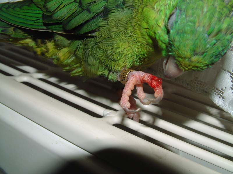 Lilou1.jpg