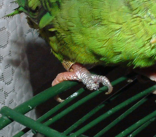 Lilou4.jpg