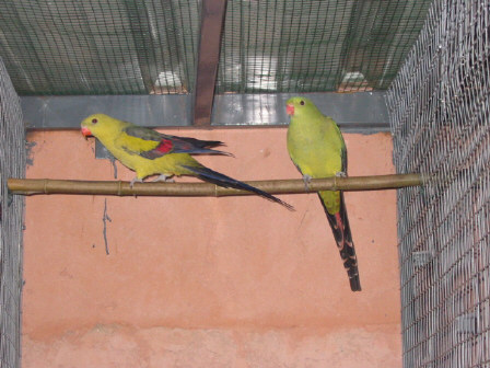 123-2337_IMG.JPG