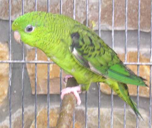 DSCN3643.jpg