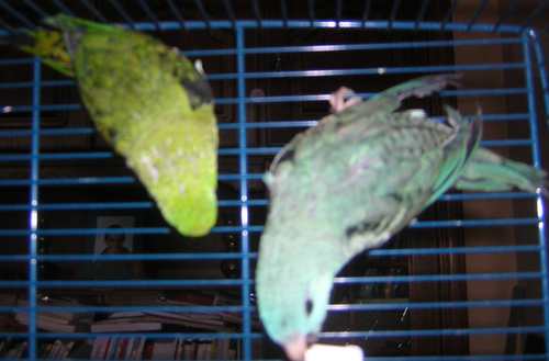 DSCN3657.jpg