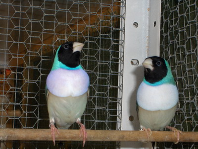 HPIM0890r.jpg