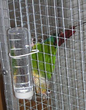 Photo 037.JPG