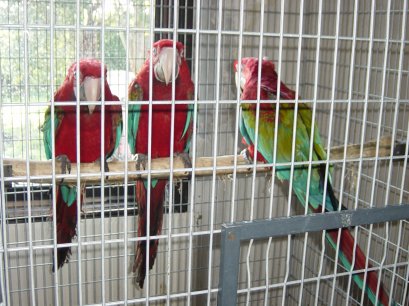 DSC00073~1.JPG