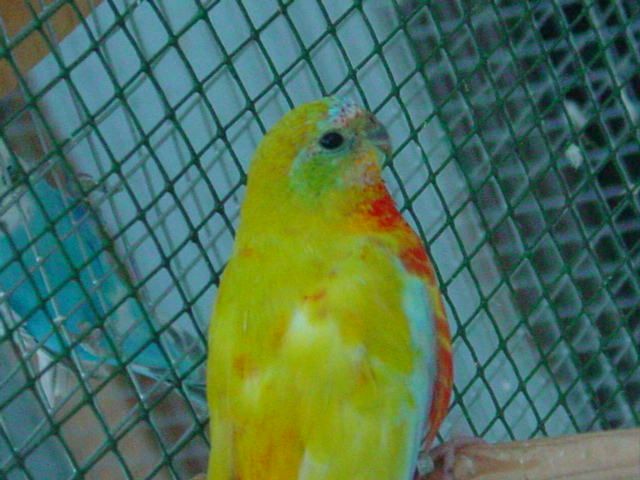 DSC05441 reduit.jpg