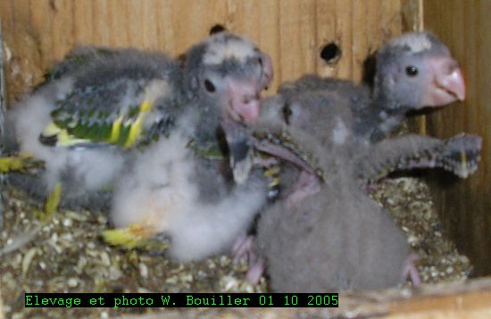 01 10 2005 1.jpg
