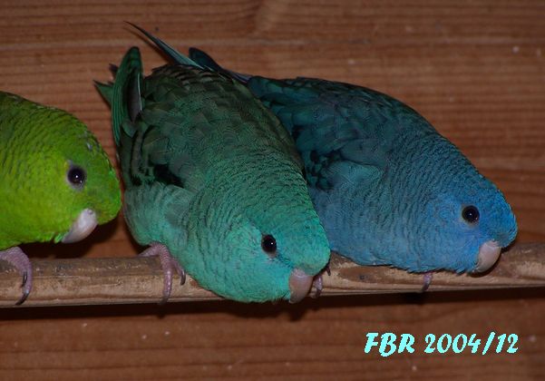 2004-12-19_14.jpg