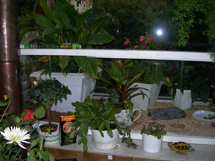 terrarium..jpg
