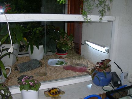 terrarium.jpg