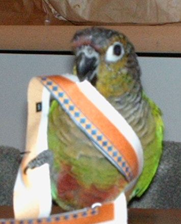 HPIM0068.jpg