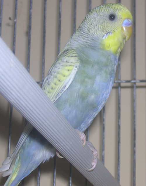 DSCN3710.jpg