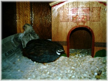 Photo 001.jpg
