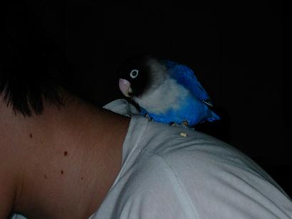 PICT0560.JPG