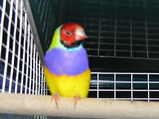 PC140042.jpg