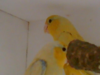 Photo 002.jpg