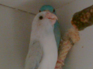 Photo 001.jpg