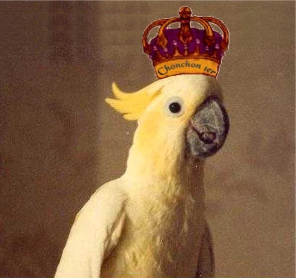 Chonchon 1er.jpg