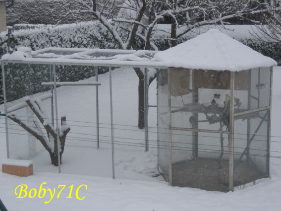 Hiver-2005.jpg