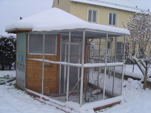 under the snow.jpg