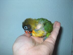 11-01-04-10010.jpg