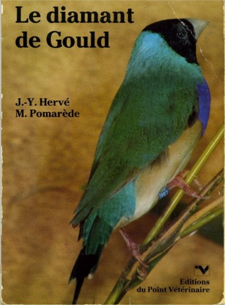 gould2.jpg
