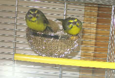 100_0002_5.JPG