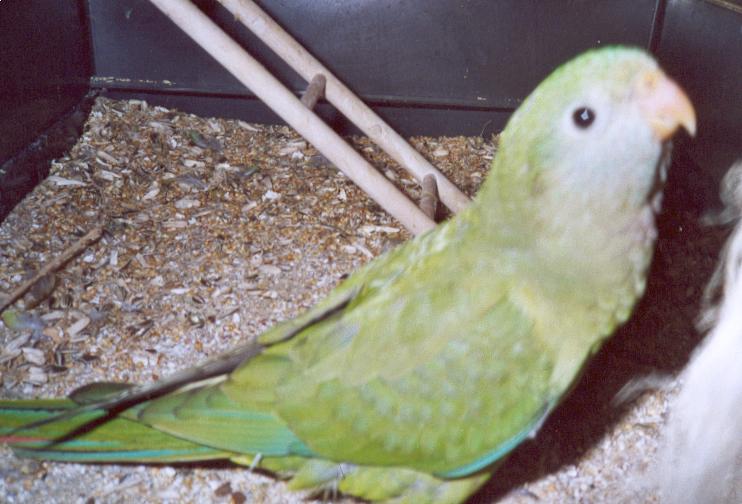 PLUME08.jpg