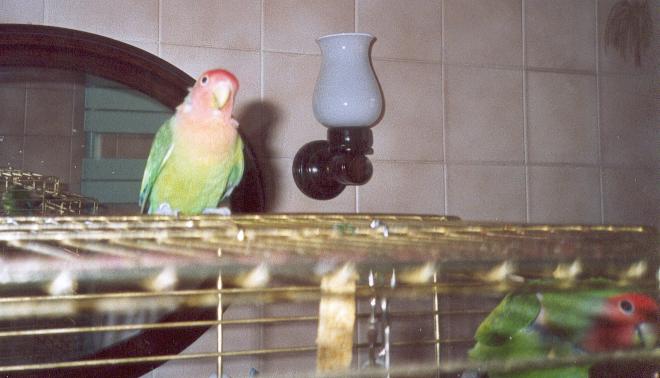 PLUME06.jpg