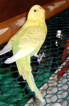 DSCF0004.JPG