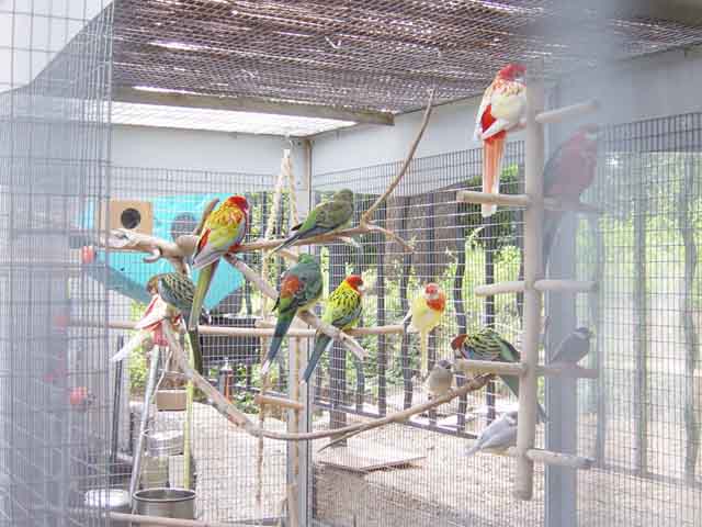 Omnis 17-09-2005 017.jpg