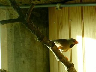 S3600190.jpg