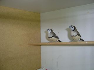 S3600213.jpg